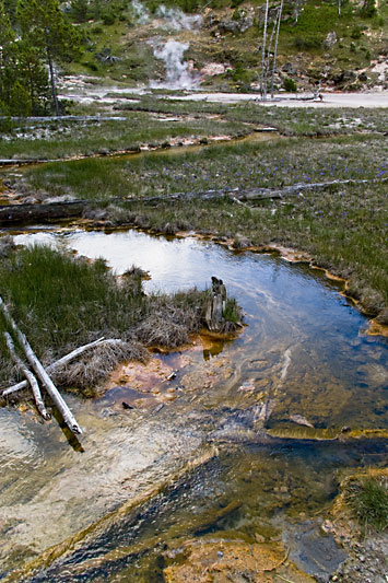  copyright hanz meulenbroeks