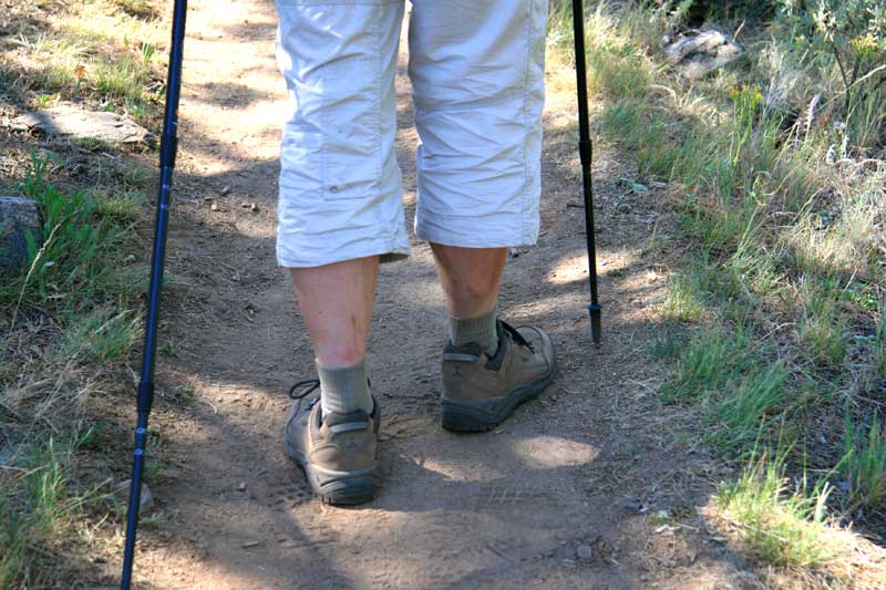  copyright hanz meulenbroeks