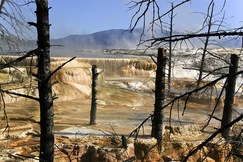  copyright hanz meulenbroeks