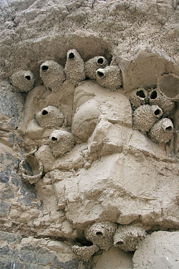  copyright hanz meulenbroeks