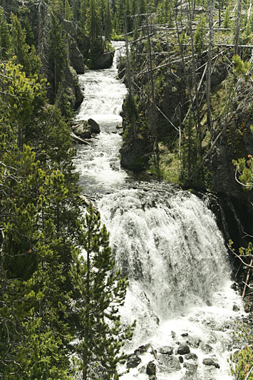  copyright hanz meulenbroeks