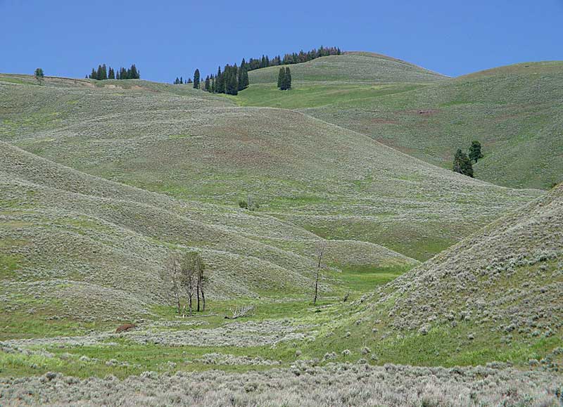  copyright henriette meulenbroeks