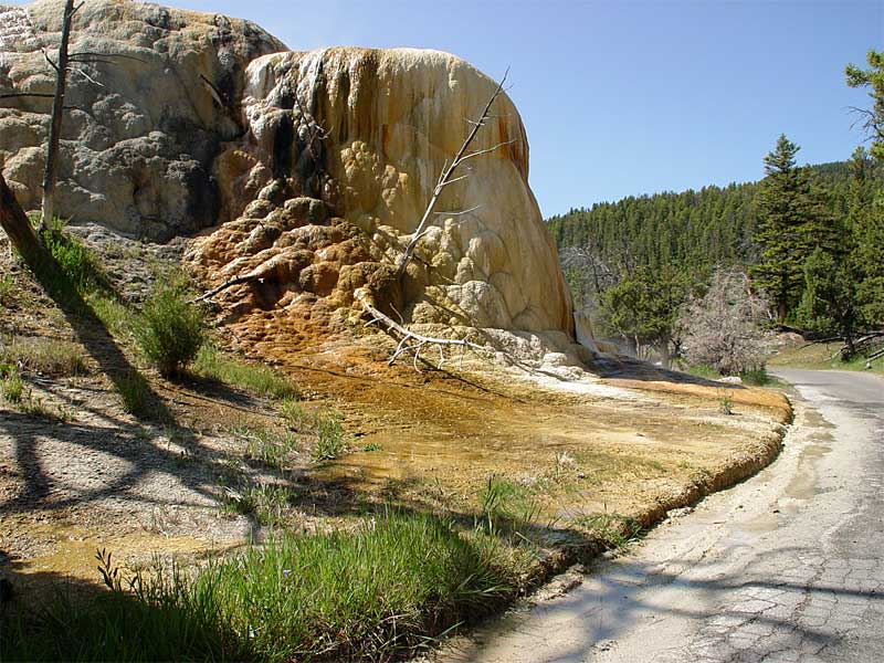  copyright henriette meulenbroeks