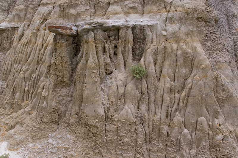  copyright hanz meulenbroeks