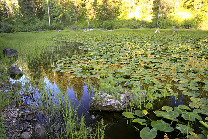  copyright hanz meulenbroeks