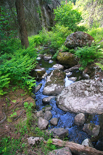  copyright hanz meulenbroeks