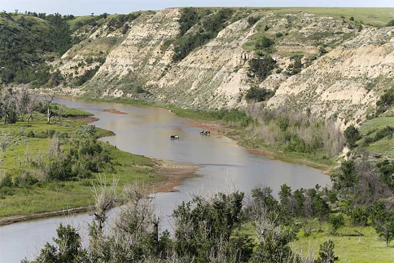  copyright hanz meulenbroeks